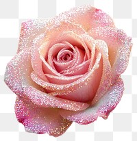 PNG Pink rose with glitter petals flower decoration.