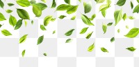 PNG Green leaves flying leaf background design.