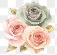 PNG Watercolor pastel rose bouquet roses illustration colors.