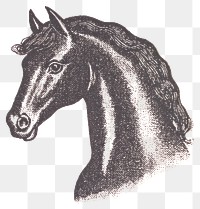 PNG Horse illustration drawing black.