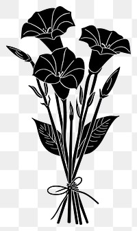 PNG Morning glory Flower silhouette flower drawing.