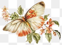 PNG Butterfly with bloom flowers illustration vintage style.