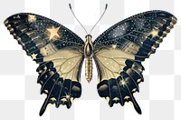 PNG An butterfly illustration stars wings.