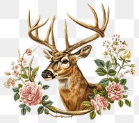 PNG Deer head with flowers antlers illustration wildlife.