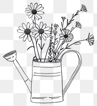 PNG Flowers growing in an old watering can drawing daisy white.