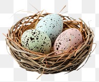 PNG Eggs decoration speckled produce.