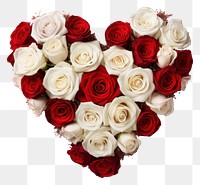 PNG Heart shape flower rose blossom.