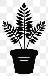 PNG Plant potted with fern plant silhouette simple.