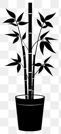 PNG Potted plant with bamboo silhouette potted black.