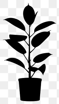 PNG Potted plant with rubber plant silhouette potted black.