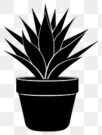 PNG Potted plant with agave silhouette potted black.