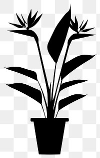 PNG Potted plant with bird of paradise silhouette potted black.