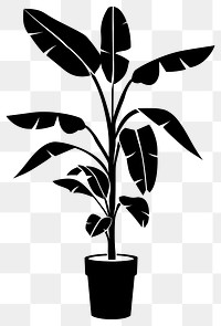 PNG Potted plant with banana tree silhouette potted black.