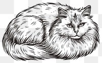 PNG A cat doodle art illustration drawing.