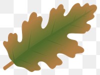 PNG Oak leaf oak illustration seasonal.