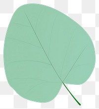 PNG Eucalyptus leaf illustration nature simple.