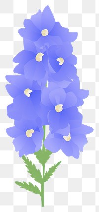 PNG Delphinium flower illustration petals plant.