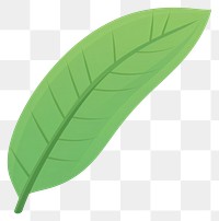 PNG Banana leaf illustration art eco-friendly.