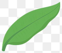 PNG Banana leaf illustration simple eco-friendly.