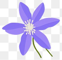 PNG Columbine flower illustration petal art.