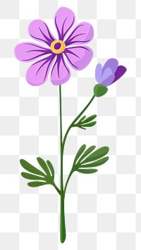 PNG Wildflower illustration floral art.