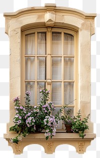 PNG Cottagecore of wooden window flowers vintage beige.