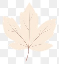 PNG Maple leaf illustration simple art.