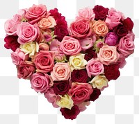 PNG Heart shape made of roses valentine's decoration flower.