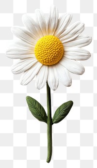 PNG Daisy background flower petals.