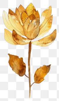 PNG Golden Lotus watercolor plant illustration.