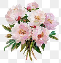 PNG Peony flower bouquet painting flowers peonies.