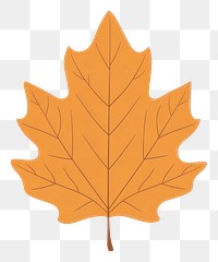 PNG Autumn hickory leaf illustration simple fall.