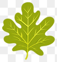 PNG Green rounded oak leaf illustration vector vegetable.