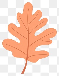 PNG Peach orange oak leaf illustration simple autumn.