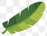 PNG Green curve banana leaf illustration tropical vector.