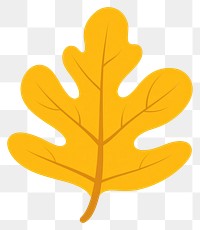 PNG Yellow rounded oak leaf illustration autumn fall.