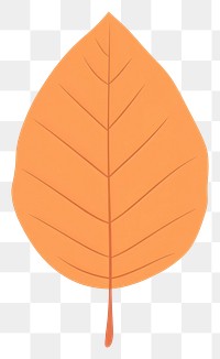 PNG Peach orange chestnut leaf illustration nature simple.