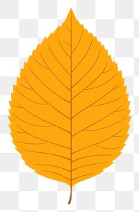 PNG Autumn hickory leaf illustration botanical vibrant.