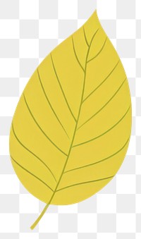 PNG Autumn leaves leaf illustration simple.