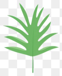 PNG Tropical leaves leaf illustration herbal.