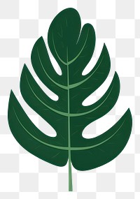 PNG Tropical leaves plant leaf illustration.