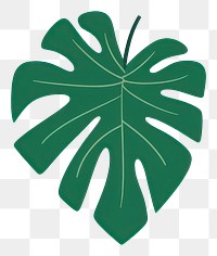 PNG Tropical leaves leaf illustration nature.