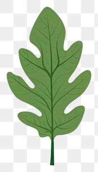 PNG Ash leaf hunt illustration nature simple.