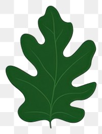 PNG Tropical leaves leaf illustration simple.