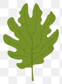 PNG Tropical leaves leaf illustration simple.