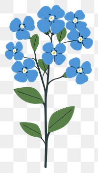 PNG Blue Forget-Me-Not Cluster art illustration flower.