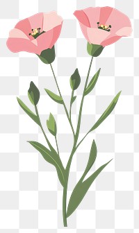 PNG Pink Lisianthus Bloom art illustration flowers.