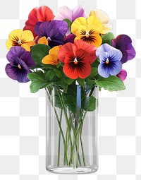 PNG Pansy flowers bouquets pansies glass vase.