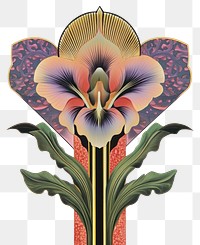 PNG Flower flower art illustration.