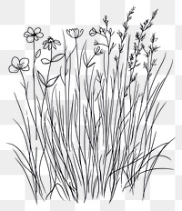 PNG Wild flower drawing sketch black.